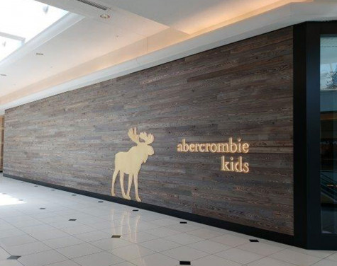 A&F Kids Retail Construction Project Troy MI - Fred Olivieri